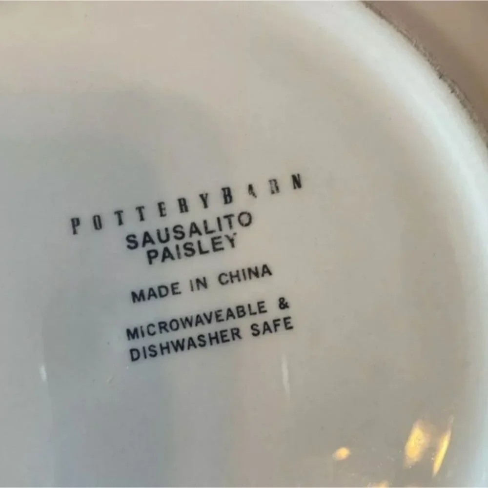 Pottery Barn Dinner Plate Bowl Sausalito Paisley 12.5 Pasta Cream Red Green